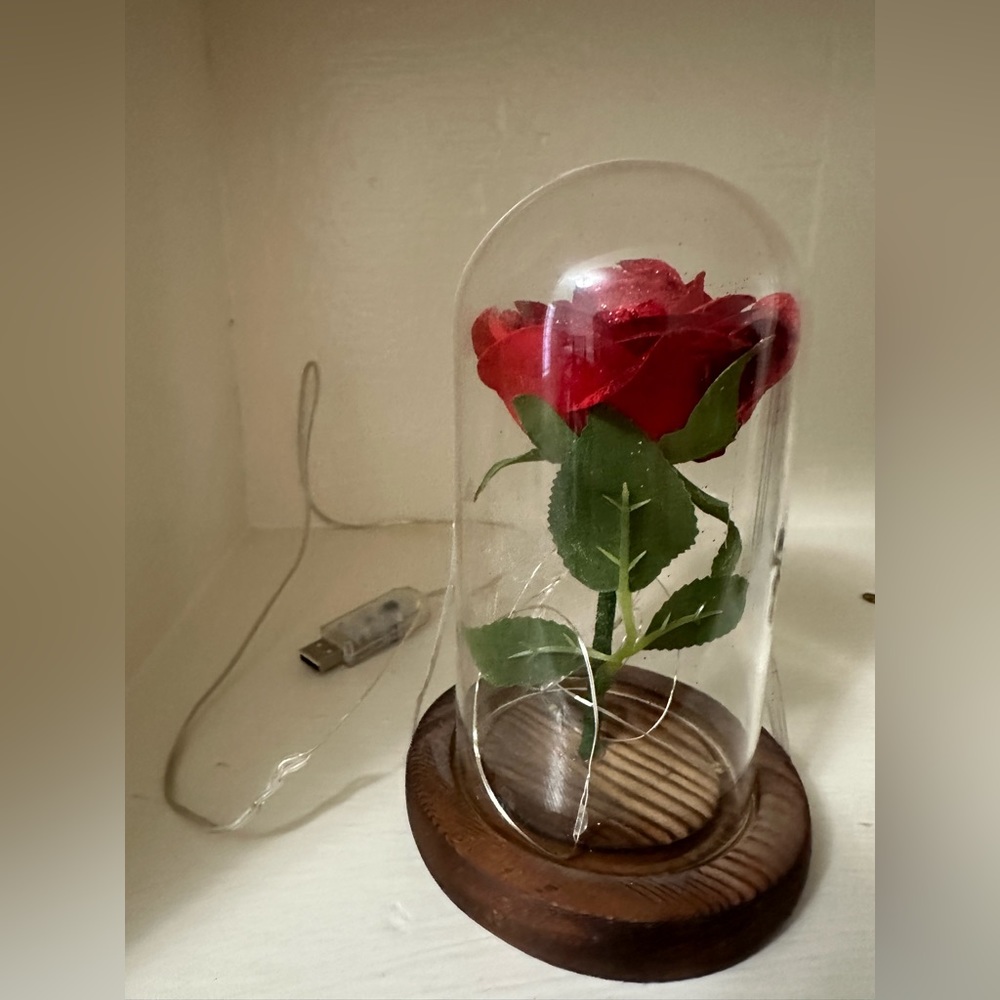SW Preserved Rose Enchanted Rose Red Silk Rose in Glass